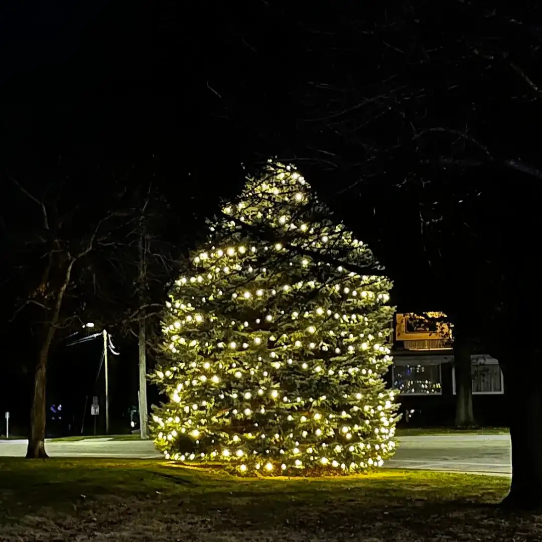 see our work
