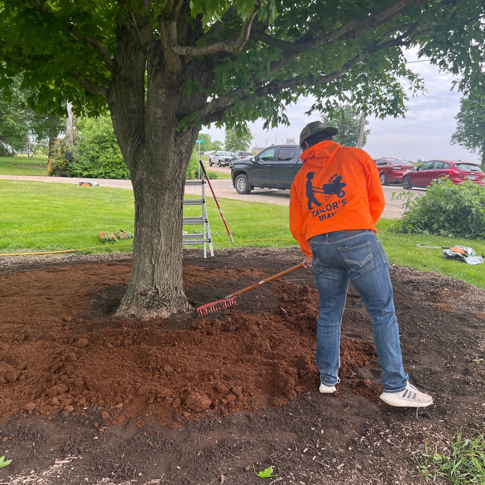 Fall Tree Care